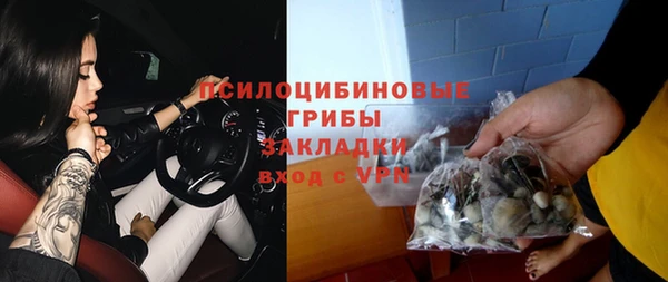 бутират Горняк