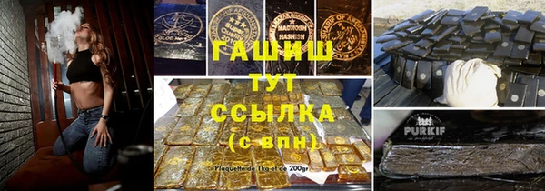 мдпв Горно-Алтайск